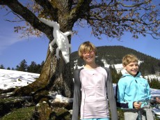 Landart von Monika Glasl: Geko und Kinder