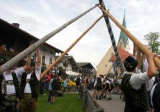 Maibaumstellen in Törwang am Samerberg (Bild von 2010, Foto: Hötzelperger)