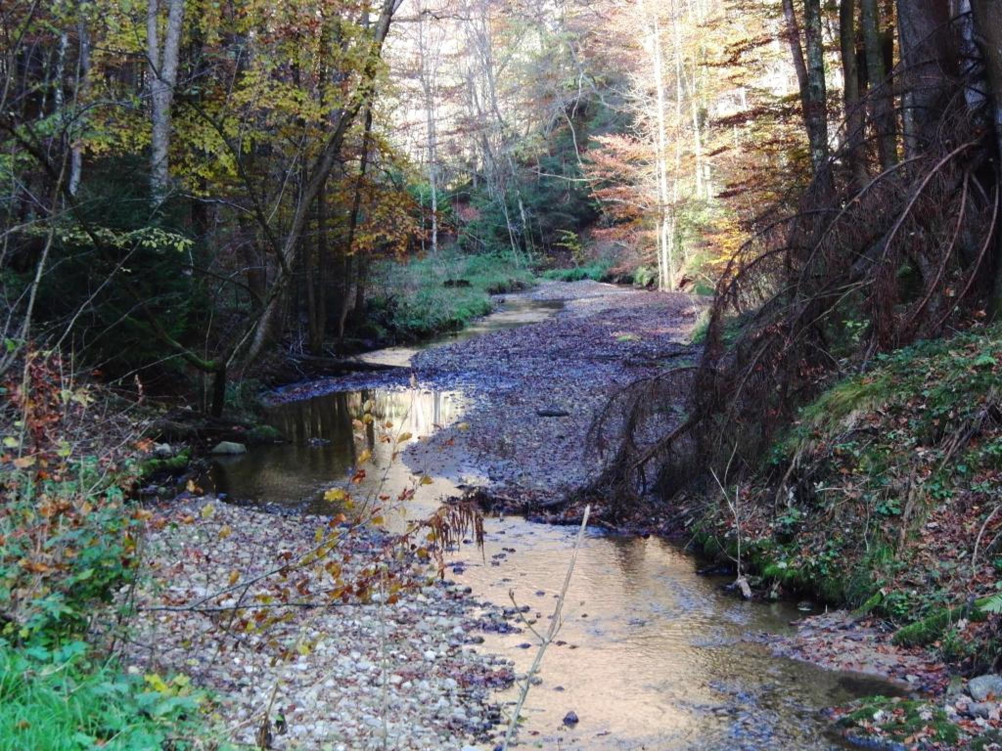 moosbach Willkommen auf Wandern mit Familie